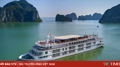 Neue Marke der Resortreise mitten in der Heritage Bay
