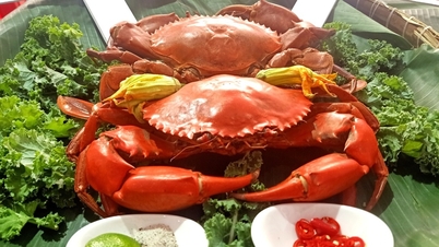 11 月中旬には、国の最南端の州を訪れてカマウガニを味わってください。