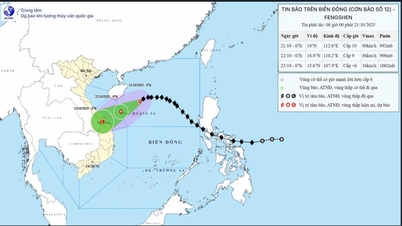 嵐12号が中部地域に接近、ダナンからクアンガイにかけて大雨