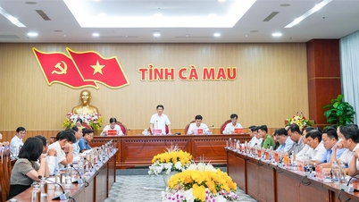 Ca Mau ist entschlossen, Kapital für nationale Zielprogramme planmäßig auszuzahlen