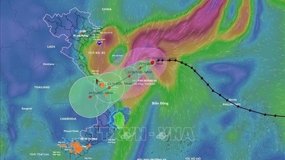 Affected by storm No. 12, the Central region has had heavy rain since the night of October 22.