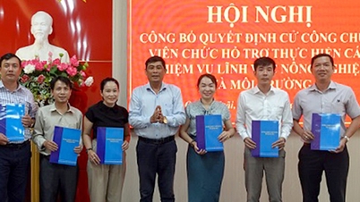 Quang Ngai established a Zalo group, hotline... dispatched 46 officials to communes to provide professional support