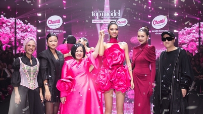 Το λαμπρό ταξίδι του Vietnam's Next Top Model 2025
