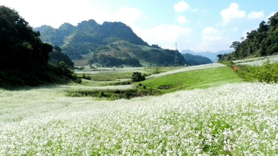 อย่าพลาดฤดูกาลที่สวยงามที่สุดของปีในภาคตะวันตกเฉียงเหนือ!
