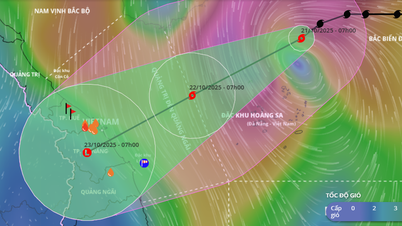 A partir da tarde de 22 de outubro, Da Nang iniciou um período de chuva forte e prolongada.