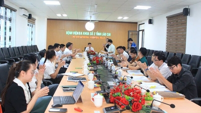 Bộ Y tế thẩm định 16 danh mục kỹ thuật loại đặc biệt tại BVĐK số 2 tỉnh Lào Cai