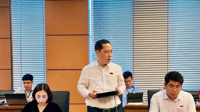 Delegierter Tran Nhat Minh (Nghe An): Perfektionierung der Politik, Verbesserung der Reaktionsfähigkeit und Überwindung der Folgen von Naturkatastrophen