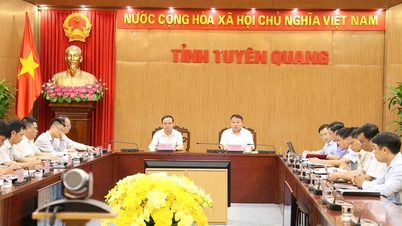 第14回党大会を歓迎し、プロジェクトの建設進捗、起工式、開所式を加速する