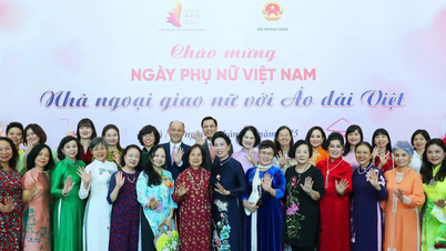 Honoring female diplomats and Vietnamese ao dai