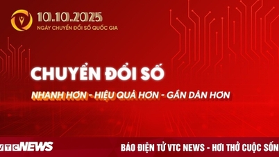 Hanói lidera o país na transformação digital, Cao Bang está no final da lista