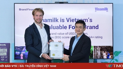 Lần đầu vào Top 5% Thương hiệu mạnh nhất toàn cầu: Vinamilk đã làm gì để vượt nhiều ông lớn Âu – Mỹ?