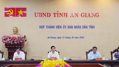 An Giang Provincial People's Committee approved many important contents.