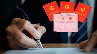 Red Book이 곧 VNeID 애플리케이션에 통합됩니다.