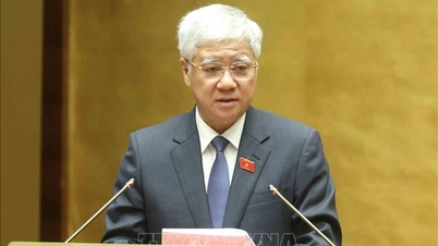 베트남 조국 전선과 사회 정치 조직의 핵심 정치적 역할을 파악합니다.