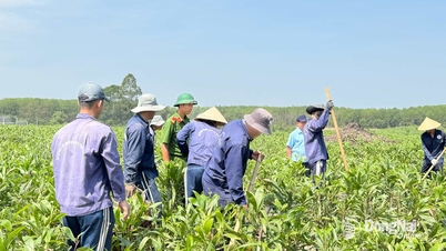새로운 상황에서 마약 예방, 통제 및 퇴치의 효과성 향상