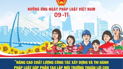 Consiliul Provincial pentru Coordonarea Diseminării și Educației Juridice oferă o serie de ghiduri privind organizarea implementării Zilei Legii Vietnamului.