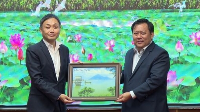 Wakil Ketua Komite Rakyat Provinsi Huynh Van Son bekerja dengan Tim Promosi Perdagangan Jepang di Kota Ho Chi Minh.