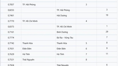 Hai Phong ranks 3rd in the country in terms of Provincial Digital Transformation Index