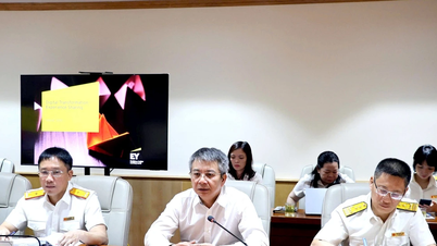 Strengthening international experience exchange in digital transformation towards a modern tax system