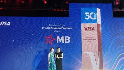 MB continúa recibiendo cuatro prestigiosos premios de Visa