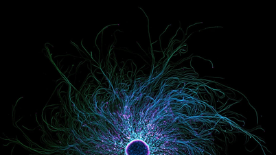 Las fotografías de microscopio científico más hermosas del año que cautivan y retuercen las mentes de los espectadores.