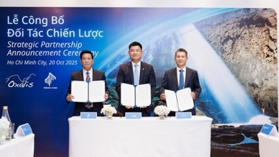 UOB Vietnam und Oxalis Adventure bilden strategische Partnerschaft mit dem Nationalpark Phong Nha-Ke Bang