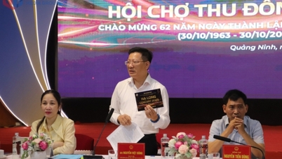 Hạ Long Concert 2025 - Chương trình nghệ thuật hoành tráng nhất từ trước đến nay