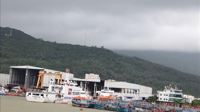 Da Nang lets students stay home from school to cope with storm No. 12
