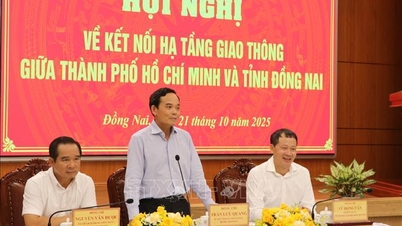 Ciudad Ho Chi Minh y Dong Nai promueven la conexión vial
