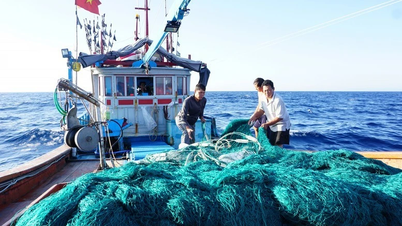 Plano de ação para o mês de pico contra a pesca ilegal