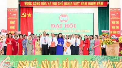 1º Congresso de Delegados da Associação de Agricultores da Comuna de Dien Khanh