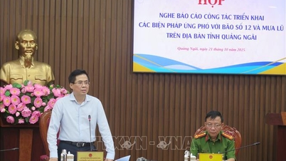 Presidente del Comité Popular Provincial de Quang Ngai: Listos para responder a tres tipos de desastres naturales
