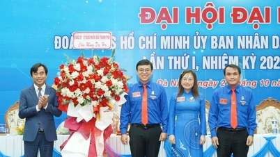 다낭의 많은 청년 운동은 디지털 변혁을 적용했을 때 효과적입니다.