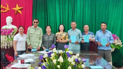 Desembolso del proyecto "Cría de caballos blancos" en la comuna de Quang Trung