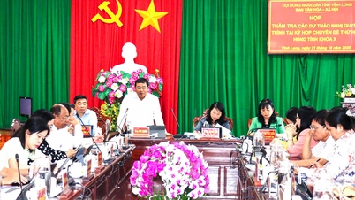 Menelaah rancangan resolusi di bidang budaya, masyarakat, dan hukum