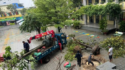 Da Nang: Algumas escolas permitiram que os alunos ficassem em casa no dia 22 de outubro para evitar a tempestade nº 12