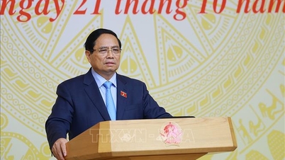 Prime Minister Pham Minh Chinh chaired the 18th meeting of the Steering Committee against illegal fishing.