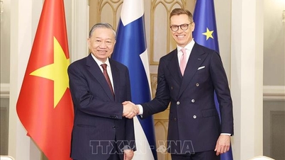 Pernyataan Bersama tentang Pembentukan Kemitraan Strategis antara Vietnam dan Finlandia