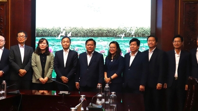 Tay Ninh fortalece la cooperación con la Organización de Comercio Exterior de Japón (JETRO)