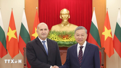 Perjalanan 75 tahun persahabatan Vietnam-Bulgaria: Memperkuat kepercayaan, meningkatkan kerja sama