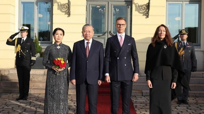 Joint Statement on the Establishment of Strategic Partnership between the Socialist Republic of Vietnam and the Republic of Finland