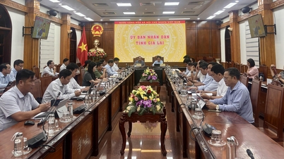 Phiên họp thứ 18 Ban Chỉ đạo Quốc gia về chống khai thác IUU