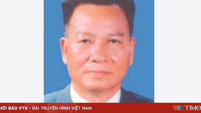 Sammendrag av kamerat Tran Phuongs biografi