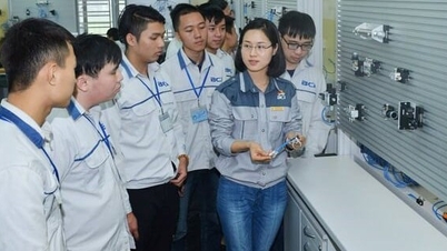 “ตลาดวิทยาศาสตร์และเทคโนโลยี – กุญแจสำคัญในการเปิดประตูสู่เศรษฐกิจความรู้ของบั๊กนิญ”