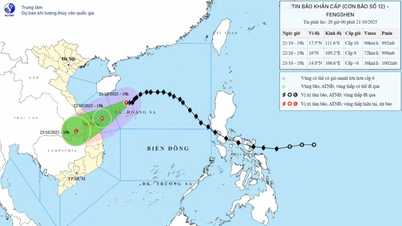 Bão số 12 di chuyển tốc độ 10 - 15 km/h, cách TP Đà Nẵng khoảng 390 km