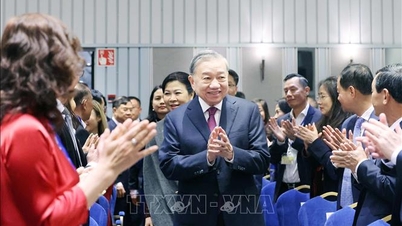 Generalsekretær møter ansatte i den vietnamesiske ambassaden og det vietnamesiske samfunnet i Norden