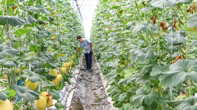 73.600 hektar produksi organik, menerapkan teknologi tinggi