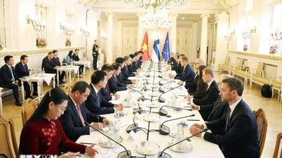 Pernyataan Bersama tentang Pembentukan Kemitraan Strategis Vietnam - Finlandia