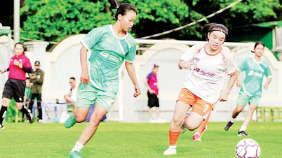 Neues Modell unterstützt Frauenfußball wirkungsvoll