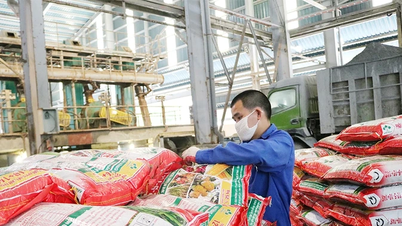 Industri mempertahankan pertumbuhan, menciptakan momentum untuk terobosan akhir tahun